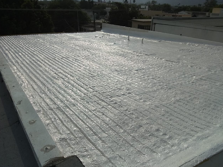 Nuestra Trayectoria y Legado